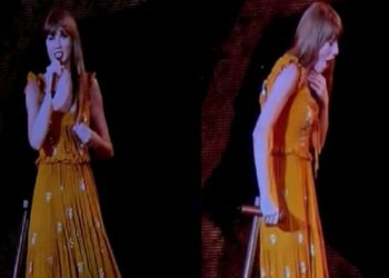 (VIDEO) Taylor Swift se traga un insecto en pleno concierto