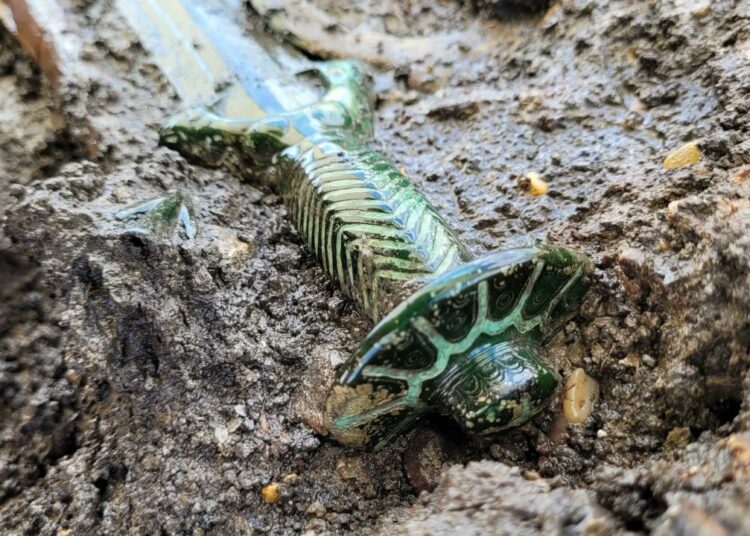 Hallaron una espada de bronce de 3000 años perfectamente conservada en una tumba de Alemania