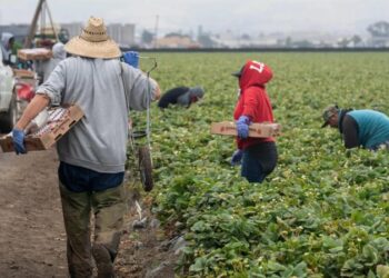 Crece el temor entre los indocumentados de Florida ante ley contra la migración irregular