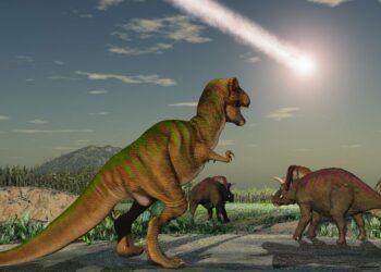 Antepasados de los humanos sobrevivieron al impacto del asteroide que acabó con los dinosaurios