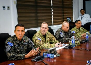 Aprueban reformas a Ley Orgánica de la Fuerza Armada para armonizarla con la Ley de Navegación