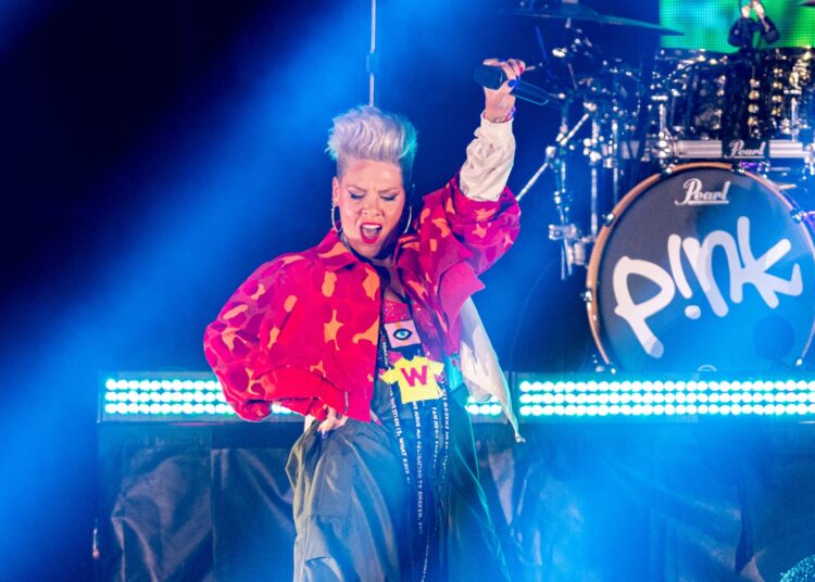 (VIDEO) Fan le lanza las cenizas de su madre a Pink en pleno concierto