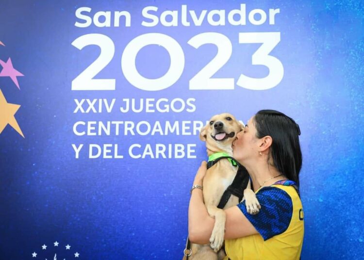 Perrito criollo salvadoreño es adoptado por delegación colombiana