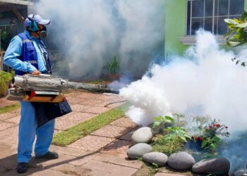 El país mantiene cero letalidades por dengue durante más de dos años y medio