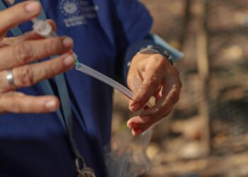 MAG intensifica campañas de prevención de la influenza aviar