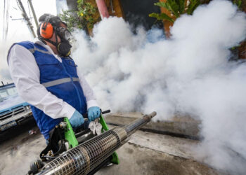 Fumigan 166,569 viviendas para prevenir enfermedades del dengue, zika y chikungunya