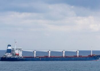 Rusia advirtió que podría atacar a los barcos cargueros en el Mar Negro