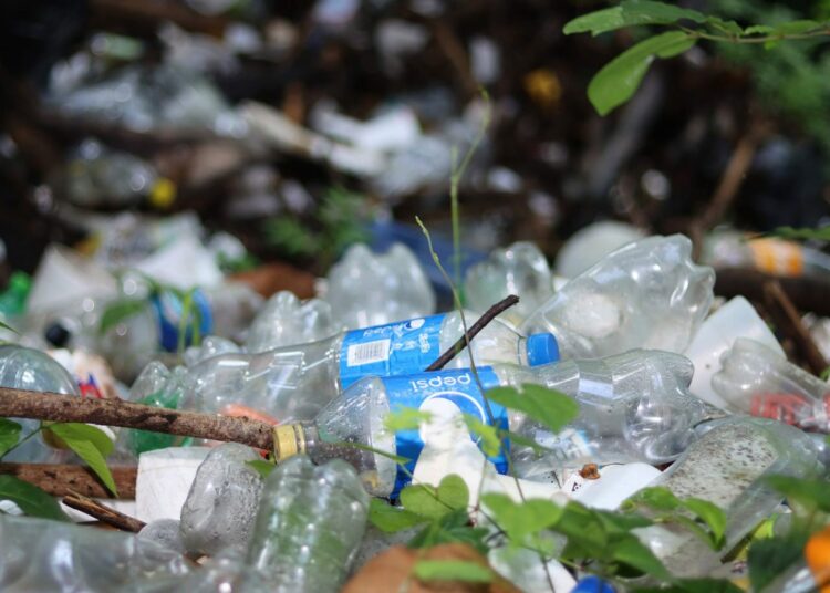Realizan jornada de limpieza de material plástico en el río Acumunca, La Paz