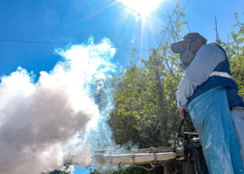 Casos de dengue presentan una reducción del 74 % en el país