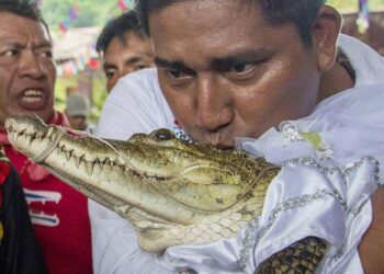 Un alcalde mexicano se casa con un caimán en un rito ancestral