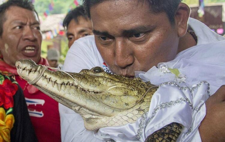 Un alcalde mexicano se casa con un caimán en un rito ancestral