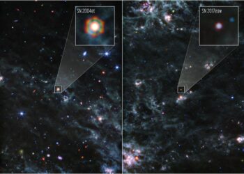 Nuevo hito del James Webb: permite descubrir más de 5.000 masas terrestres de polvo en una supernova