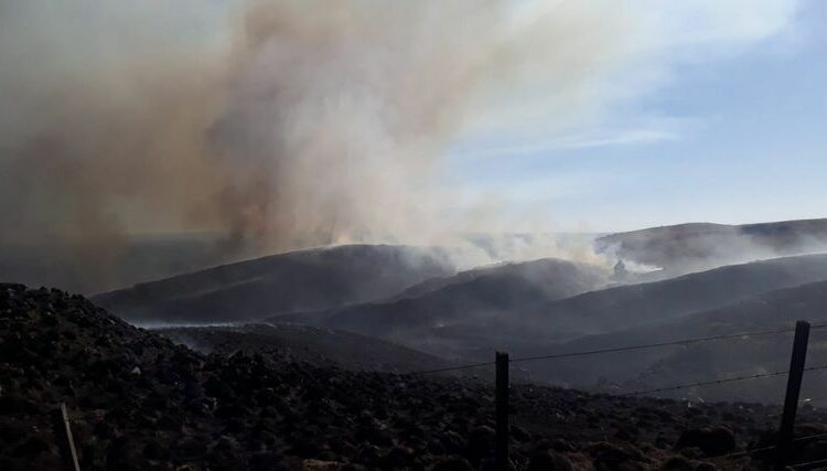 Incendios forestales se extienden en Grecia