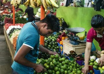 El Salvador participa en reunión de la Red de Sistemas Públicos de Abastecimiento de Alimentos de América Latina y el Caribe