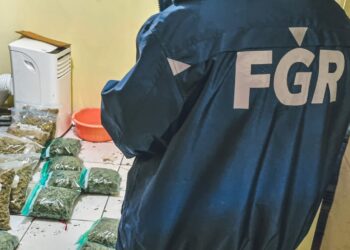 Encuentran cantidad considerable de droga en una vivienda de Lomas San Francisco, San Salvador