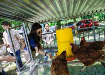 Gobierno fortalecerá bachilleratos agropecuarios en Chalatenango y Morazán, con apoyo de Japón