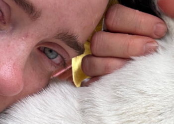 Billie Eilish se despide de su “mejor amiga”: “Te extrañaré por siempre”