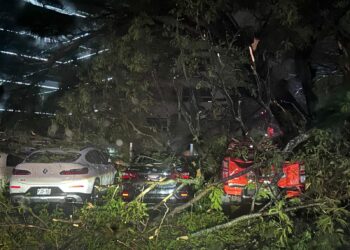 Al menos 4 vehículos resultaron dañados al caerles varios árboles en el parqueo del hotel Crown Plaza