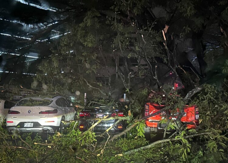 Al menos 4 vehículos resultaron dañados al caerles varios árboles en el parqueo del hotel Crown Plaza
