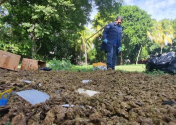 Autoridades destruyen droga incautada en diversos operativos en el oriente del país