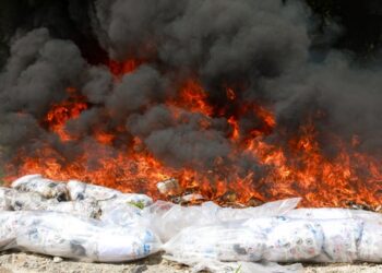 Destruyen más de mil kilogramos de cocaína valorada en $38,275,000.00