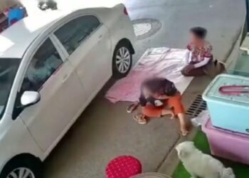 Aplasta la cabeza de una mujer con su automóvil de más de mil kilos y ella resulta ilesa