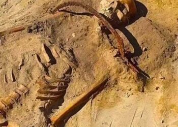 Arqueólogos descubrieron un “niño vampiro” del siglo XVII con un tobillo atado con candado