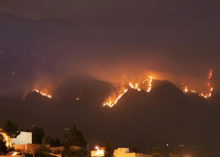 Tenerife: El mayor incendio de Canarias en 40 años consume 3.797 hectáreas, el 1,6% de la isla