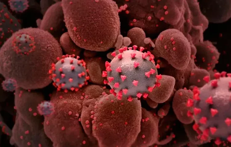 Alerta por la nueva subvariante EG.5.1 del coronavirus que acelera su propagación por el mundo