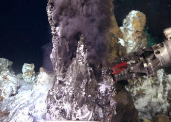 Descubren el primer ecosistema oculto bajo respiraderos hidrotermales en el Pacífico centroamericano