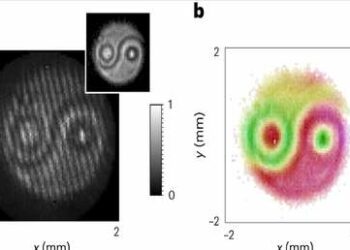 Vizualización de dos fotones entrelazados muestra un ‘yin yang’ cuántico