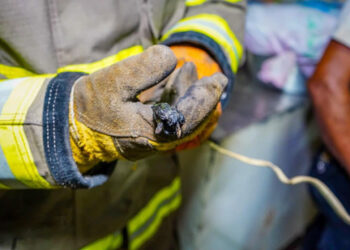 Bomberos brindan recomendaciones para evitar incendios en casa o vehículo