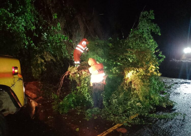 Fuertes lluvias de anoche causaron estragos en Zacatecoluca