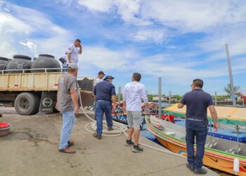 Liberan dos millones de cría de camarón en el Puerto El Triunfo