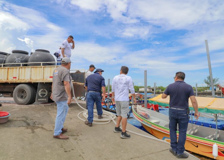 Liberan dos millones de cría de camarón en el Puerto El Triunfo