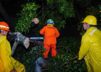 Equipos de primera respuesta atendieron emergencias por las lluvias
