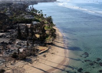 Identifican posible causa de los incendios forestales de Maui, los más mortíferos de EE.UU. en un siglo