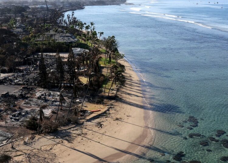 Identifican posible causa de los incendios forestales de Maui, los más mortíferos de EE.UU. en un siglo