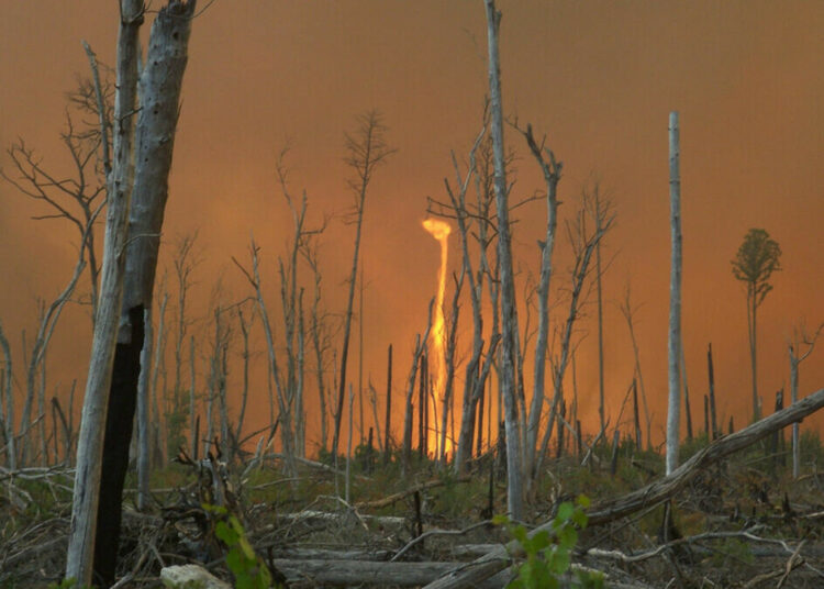 EEUU: llamas y remolinos de fuego en incendios forestales en California y Nevada
