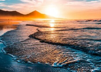 Registran un nuevo récord en la temperatura oceánica