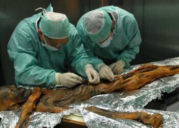 Revelan que Ötzi, el famoso ‘hombre de hielo’ de los Alpes, era calvo y tenía piel oscura