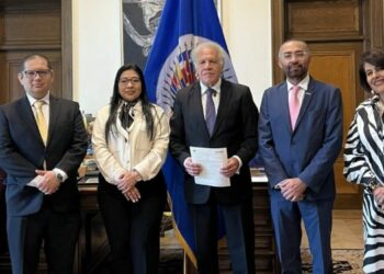 TSE solicitó a la OEA enviar observadores electorales para comicios 2024