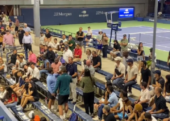 Un espectador agredió a Viktor Troicki, campeón de Copa Davis esto motivó una ejemplar respuesta del público