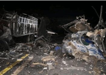 Al menos 15 muertos y 36 heridos tras el choque de un autobús que transportaba migrantes