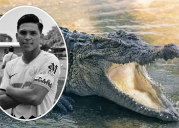 En Costa Rica un futbolista murió tras ser atacado por un cocodrilo mientras se bañaba en un río