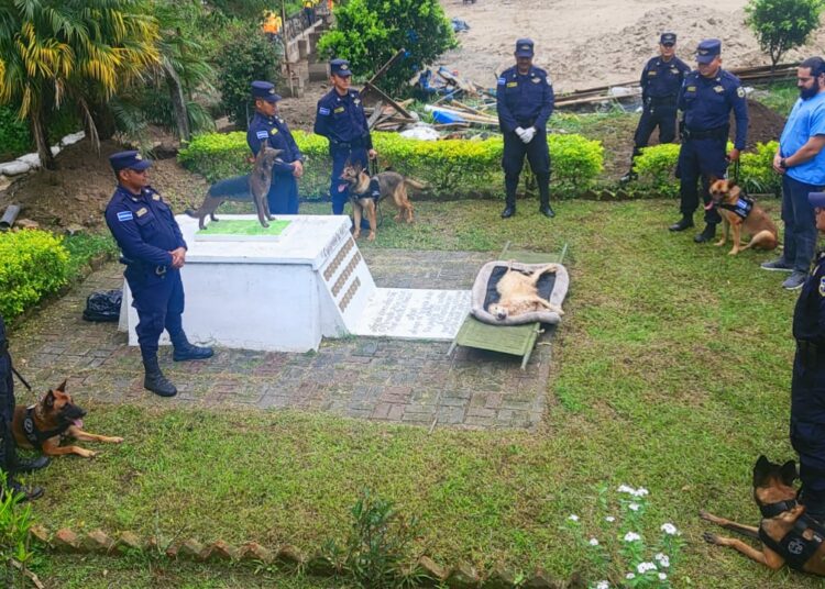 Muere Oso, el perrito que atacó a dos pandilleros y salvó la vida de policías en 2015 en Santa María Ostuma