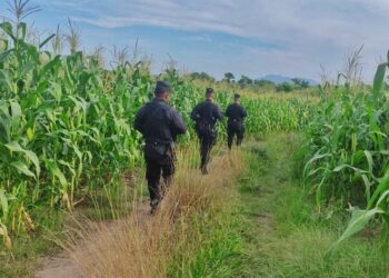 Diputados autorizan recursos a Seguridad para financiar régimen de alimentación de policías