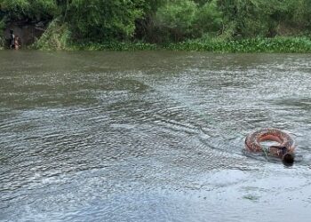 Un hombre y un niño de 3 años mueren al tratar de cruzar el río Bravo para llegar a EE.UU.
