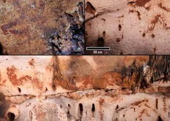 Descubren la mayor concentración de arte rupestre paleolítico en España