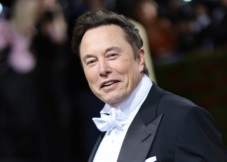 Sale a la luz el nombre de los gemelos de Elon Musk